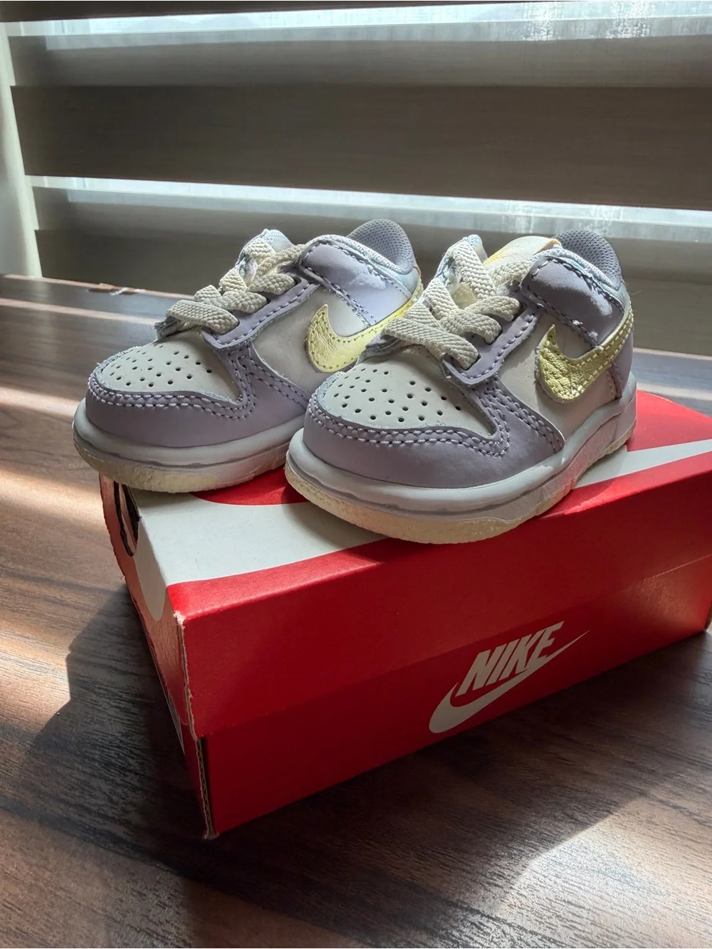 Nike Dunk Kids Low-Top Sneakers/ Box 2C